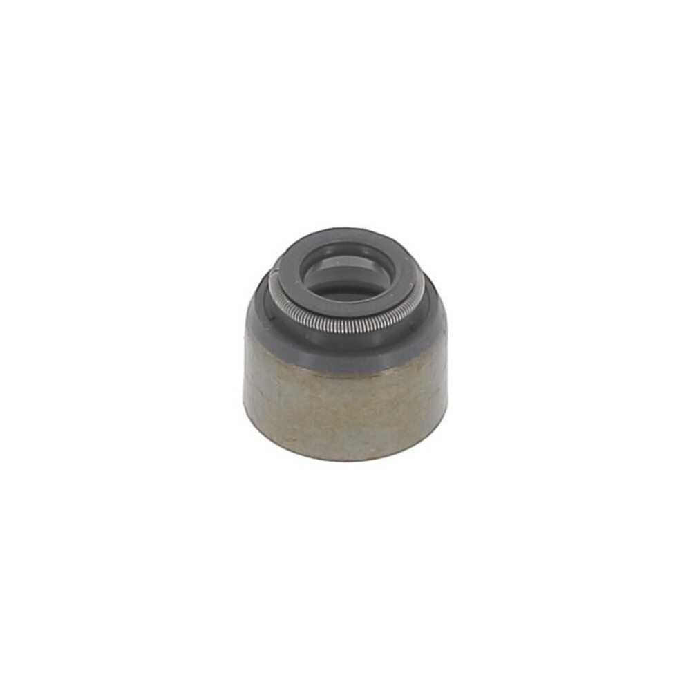 Seal Ring