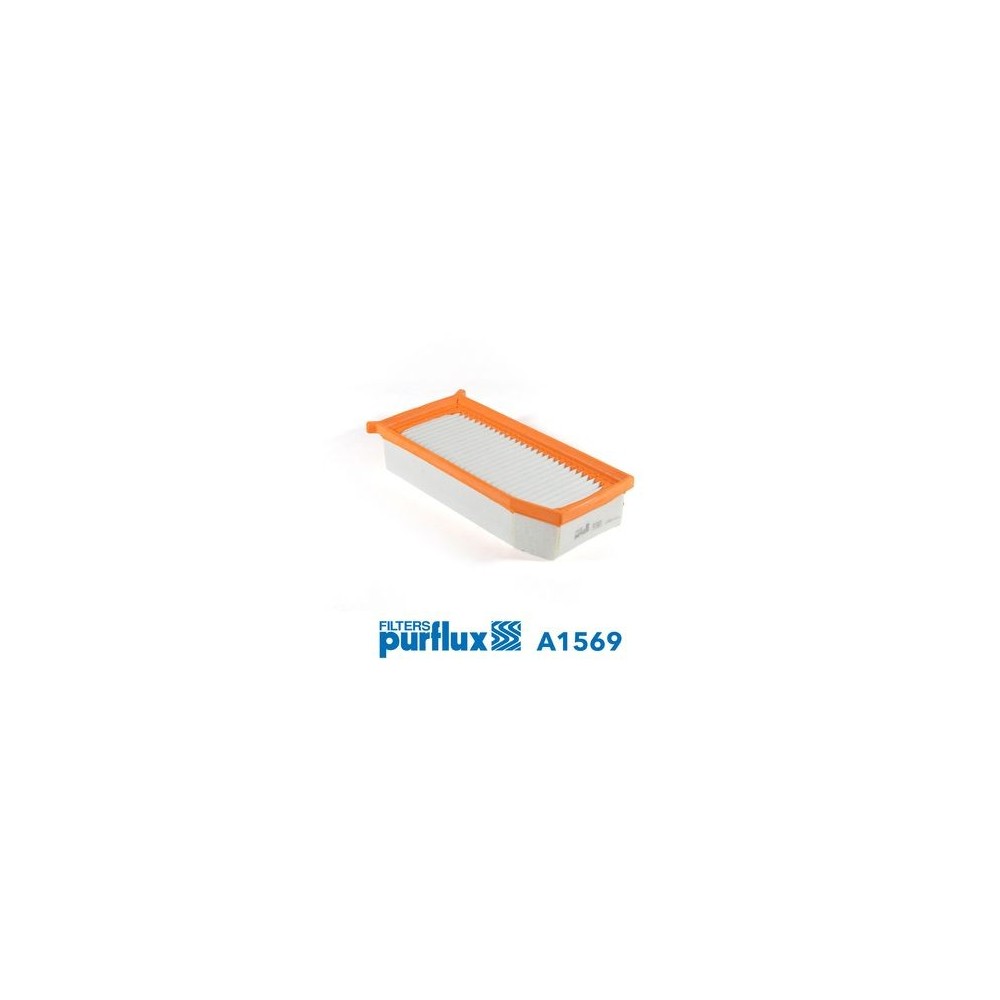 Air Filter PURFLUX A1569