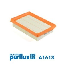 Air Filter PURFLUX A1613