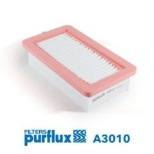 Air Filter PURFLUX A3010