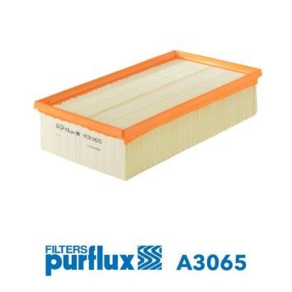 Air Filter PURFLUX A3065
