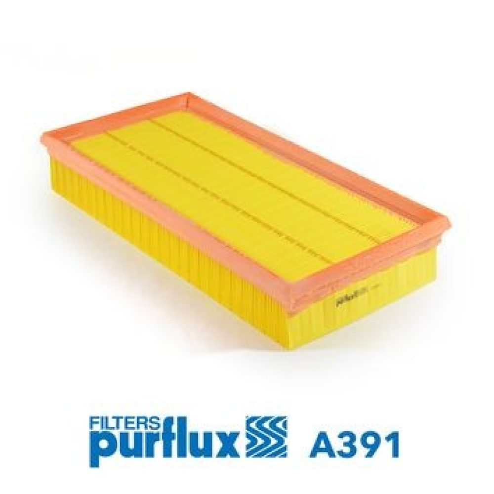 Air Filter PURFLUX A391