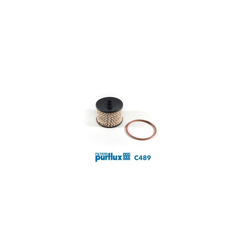 Fuel Filter PURFLUX C489