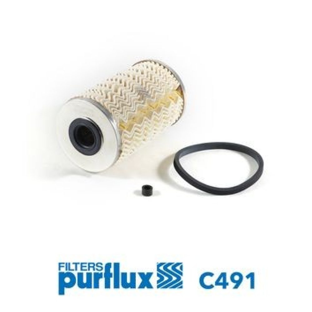 Fuel Filter PURFLUX C491