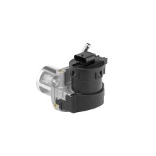 EGR Valve BorgWarner 710095D/1