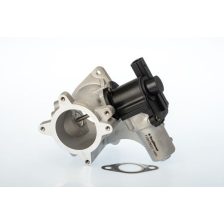 EGR Valve BorgWarner 710575D