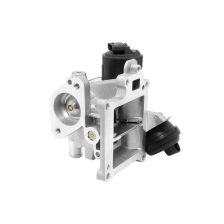 EGR Valve BorgWarner 710626D0