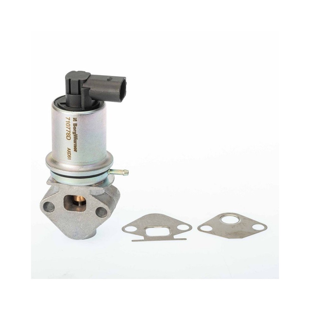EGR Valve BorgWarner 710778D