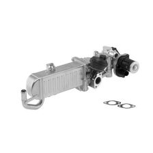 EGR Module BorgWarner 710861D