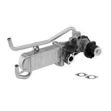 EGR Module BorgWarner 710863D/1