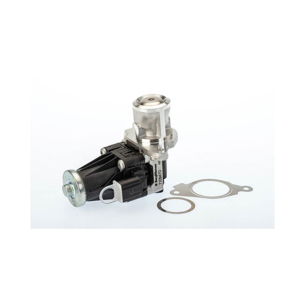 EGR Valve BorgWarner 710947D