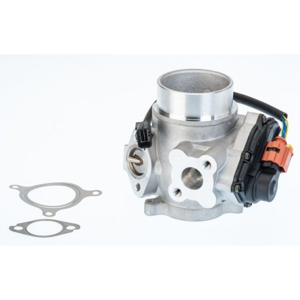 EGR Valve BorgWarner 710974D