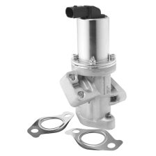EGR Valve BorgWarner 729019D