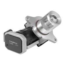 EGR Valve BorgWarner 7389D