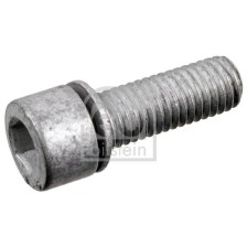 Screw Plug