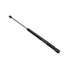 Gas Spring