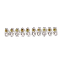 Bulb