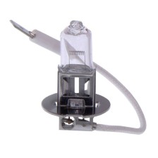 Bulb
