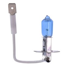 Bulb