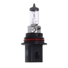 Bulb