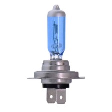 Bulb