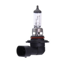 Bulb