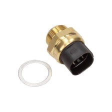 Temperature Switch
