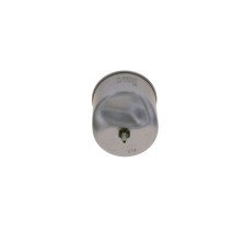 Fuel Filter BOSCH F 026 402 862