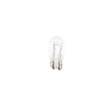 Bulb